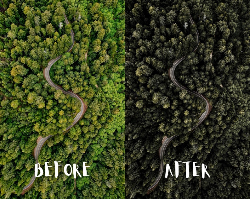 10 Moody Forest Lightroom Presets, Moody Nature Presets, Forest Presets, Cinematic Green presets, Dark Green, Mobile + Desktop | 2023 image 7