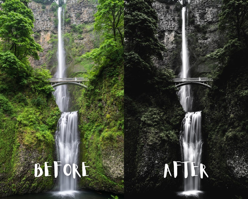 10 Moody Forest Lightroom Presets, Moody Nature Presets, Forest Presets, Cinematic Green presets, Dark Green, Mobile + Desktop | 2023 image 8