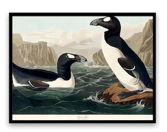 Great Auk by John J. Audubon - Multi-Paneled Prints, Choose Number of Panels, Total Size, and Accent Color