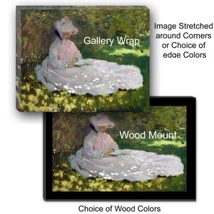 Swift Fox by John J. Audubon - Hanging Canvas Art, with Choice of Hanging Board Colors. image 5