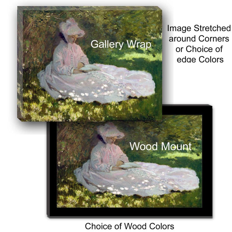 Swift Fox by John J. Audubon - Hanging Canvas Art, with Choice of Hanging Board Colors. image 5