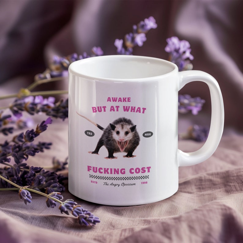 Awake, but at what fucking cost mug