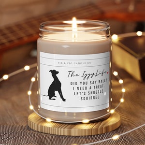 Italiaanse windhond thema eco-vriendelijke 100% soja kaars, IGGY kaars, IGGY cadeau, windhond geschenken, windhond moeder, grappige Italiaanse windhond cadeau