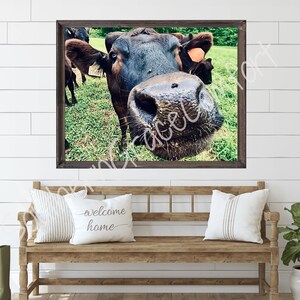 Printable Cow Portrait, Cow Wall Art, Cow Home Decor, Photography