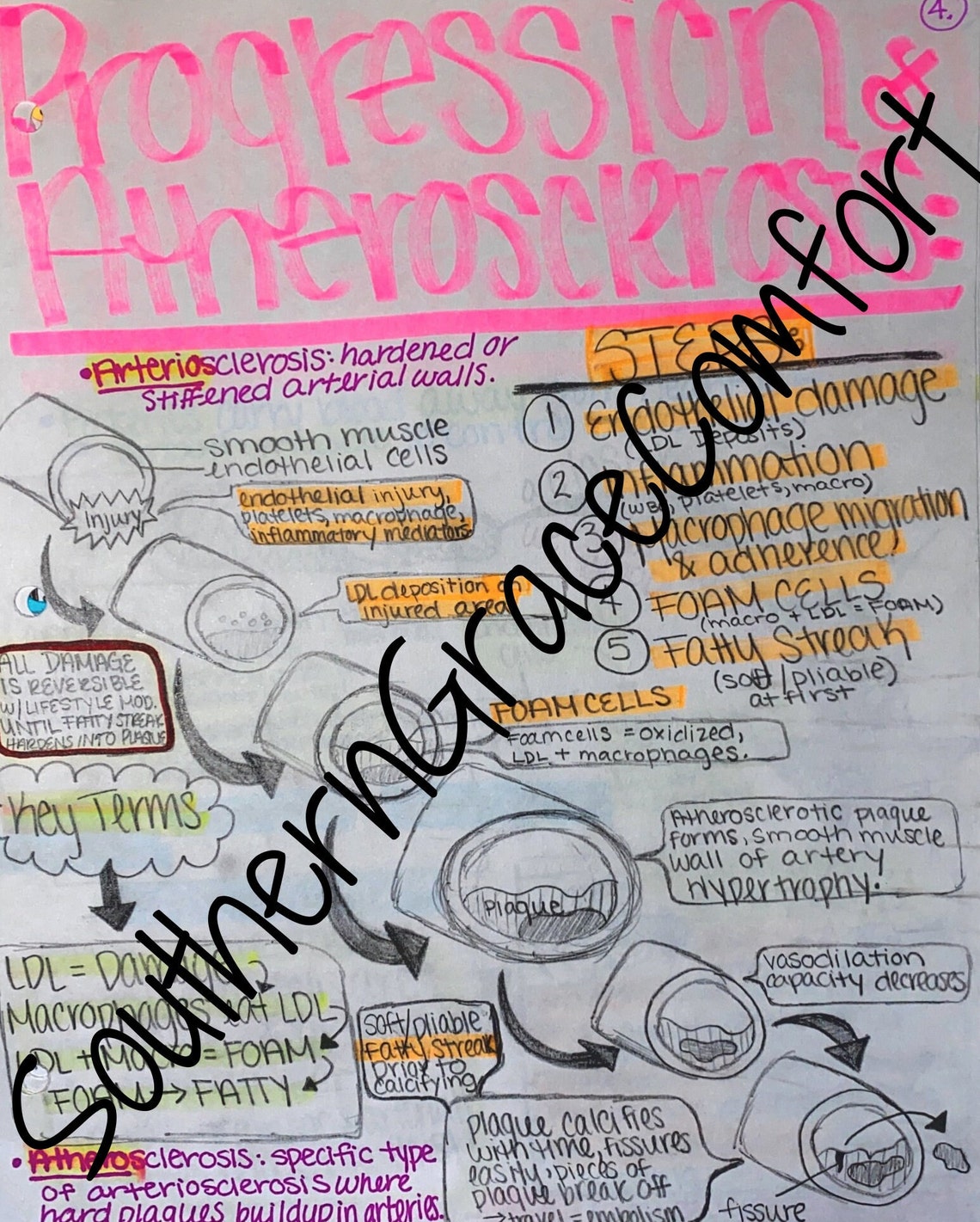 Nursing Cheat Sheets, 20 CARDIAC CHEAT SHEETS, Patho Flowcharts ...