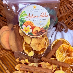 Autumn Aloha Simmer Pot Kit | Stovetop Potpourri | Fall Home Fragrance | Cozy Gift