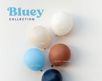 Bluey Bingo Dog DIY Balloon Garland Kit | Blue Orange Beige Balloon Arch, Bluey Puppy Party, Boho First Birthday Party, Baby Shower, Cartoon