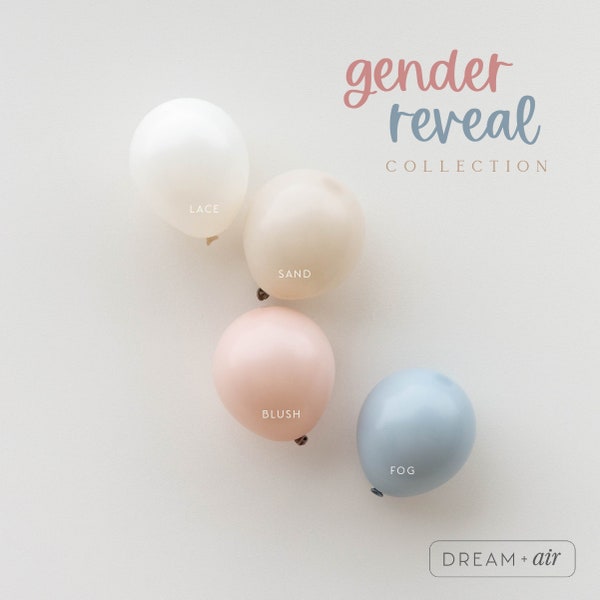 Gender Reveal DIY Balloon Arch Kit | Pastel Balloon Garland | Pastel Blue Pink Balloons for Boy or Girl Reveal Party Baby Shower Birthday