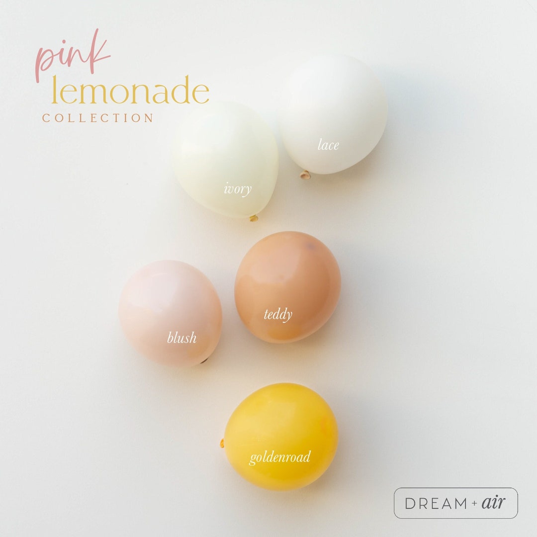 Pink Lemonade DIY Balloon Garland Arch Kit She Found Her Main Squeeze