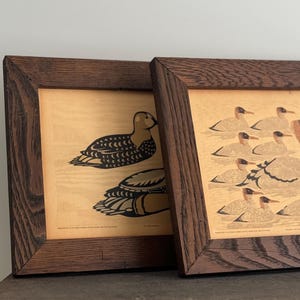 May include: Two framed prints of vintage bird illustrations. The print on the left shows a single black and white bird with a brown background. The print on the right shows a group of brown and white birds with a light brown background. Both prints have a dark brown wood frame.