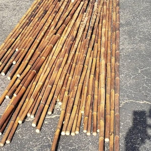 Calcutta Bamboo Pole for fishing rods, 1-1 1/8"