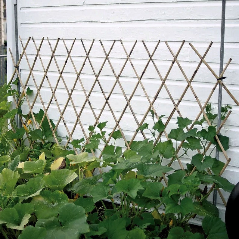 Bamboo Expandable Trellis Fence Etsy
