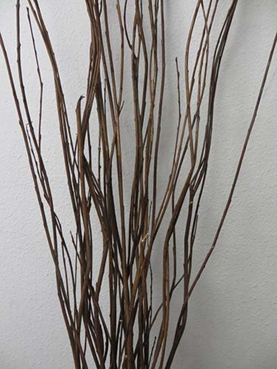 Willow Twigs & Sticks (15)