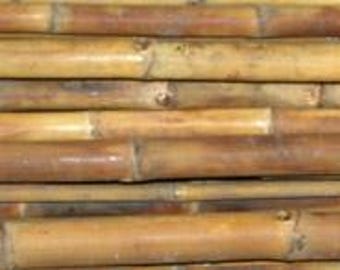 g loomis e6x steelhead float spinning rod e6x 1203-2s stfr G. Loomis E6X Walleye Spinning Rod