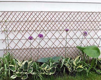 Willow Expandable Trellis Fence, Brown