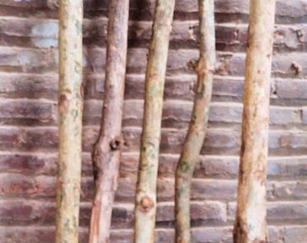 Teak Timber Pole.