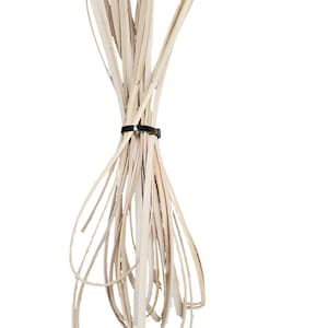 May include: A bundle of dried, light beige plant stems, secured with a black zip tie. Some stems have a darker, burnt appearance at the tips. The stems are long and thin, with a natural, organic aesthetic.