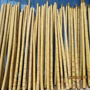 Bamboo Poles 10 Ft - Etsy Bamboo Poles 10 Ft - Etsy