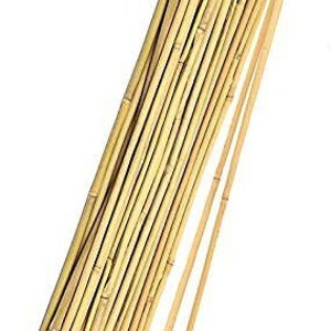 Bamboo Sticks , 9 Bamboo for Crafts, Wood for Crafts, Green Bamboo,  Windchime Parts, Wind Chime Supplies, Wooden Sticks, Reed Sticks -   Israel