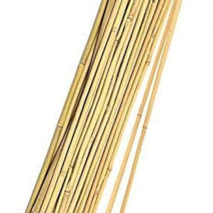 Natural Bamboo Stakes, 5 pc. Bundle