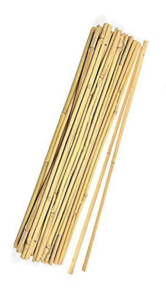 Bamboo Stakes —