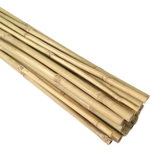 Natural Bamboo Thin Wood Strips, 10pcs Bamboo Plank Craft Material for DIY  Building Furniture Lantern Ornaments, Making House Plain Model 
