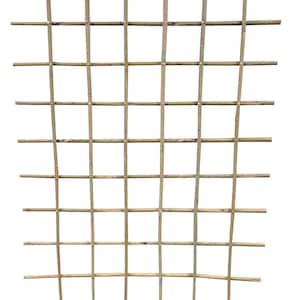 Bamboo Espalier Trellis