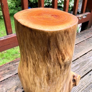 May include: A natural wood stool with a round top and a rough, textured surface. The stool is made from a single piece of wood and has a natural, rustic look.