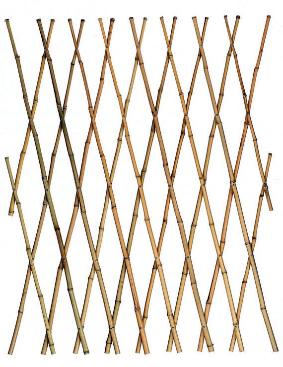 Bamboo expandable trellis fence