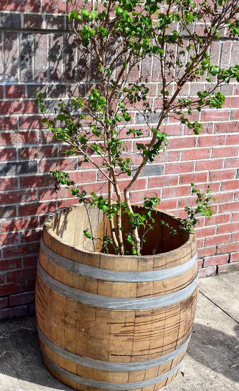 Wine Barrel Planter Etsy