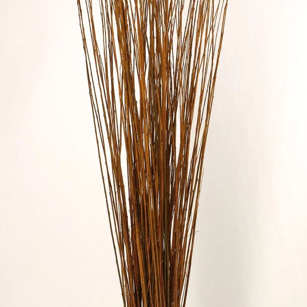 Willow Branches for Weaving Etsy