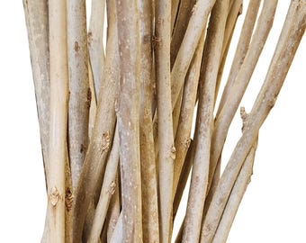 Tall Mulberry Sticks 5 pc. Bundle: Natural Home & Wedding Decor, 47"