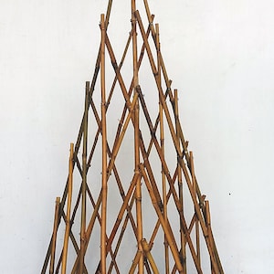 Bamboo teepee plant support