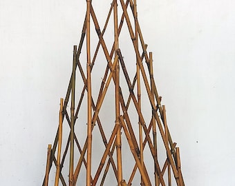 Bamboo teepee plant support