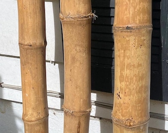 Ornamental Bamboo pole, 3"-4" diameter, 48"-72" long