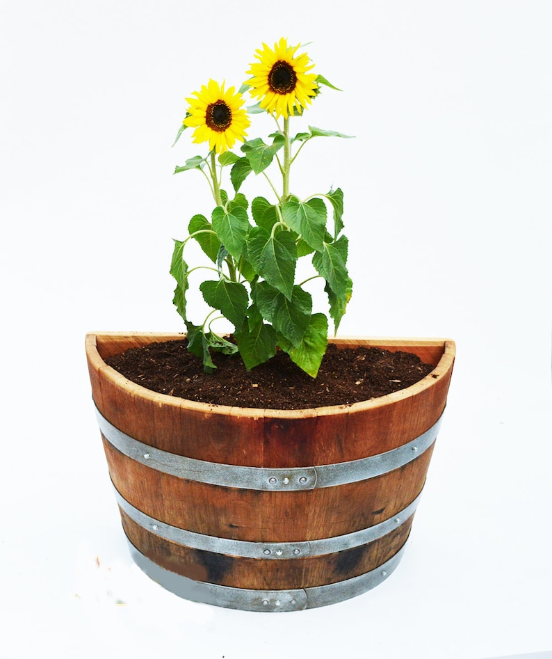 Wine Barrel Wall Planter - Etsy