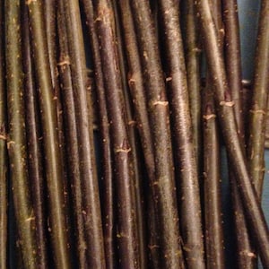 Dry natural willow sticks, 15 pcs in a bundle. 1/4&quot; to 3/8&quot; diameter, 12&quot; to 92&quot; long