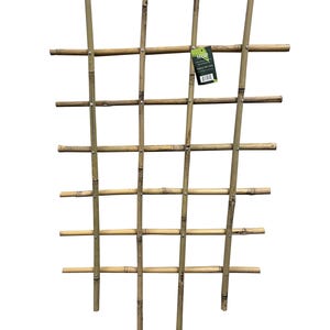 carp fishing pole elastic How to Choose the CORRECT Pole Elastic!