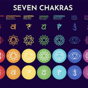 May include: An illustration of the seven chakras, each with a different colour and symbol. The chakras are labelled with their names and Sanskrit symbols. The chakras are: Muladhara (root), Svadhisthana (sacral), Manipura (solar plexus), Anahata (heart), Vishuddha (throat), Ajna (third eye), and Sahasrara (crown).