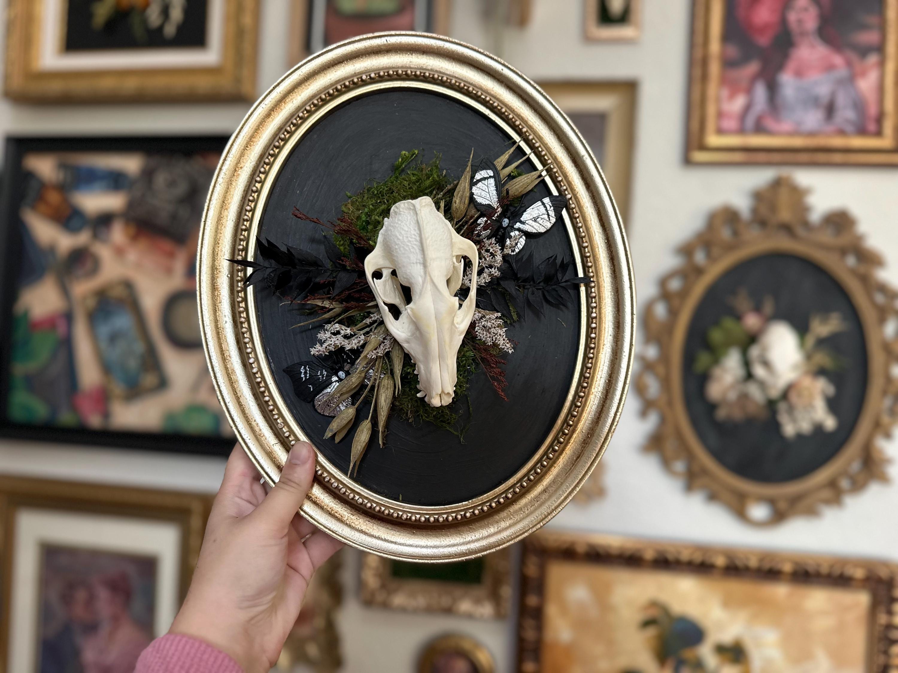 CUSTOM Skull Art | REAL Animal Skull W/ Mosses & Flowers | Gothic