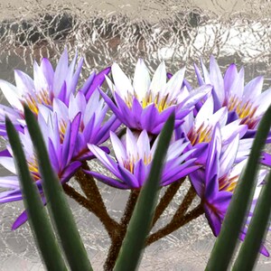 desktop wallpaper - digital wallpaper - spring flowers