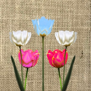 Desktop wallpaper - Digital wallpaper - spring flowers