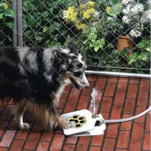 Outdoor pet fountain outlet