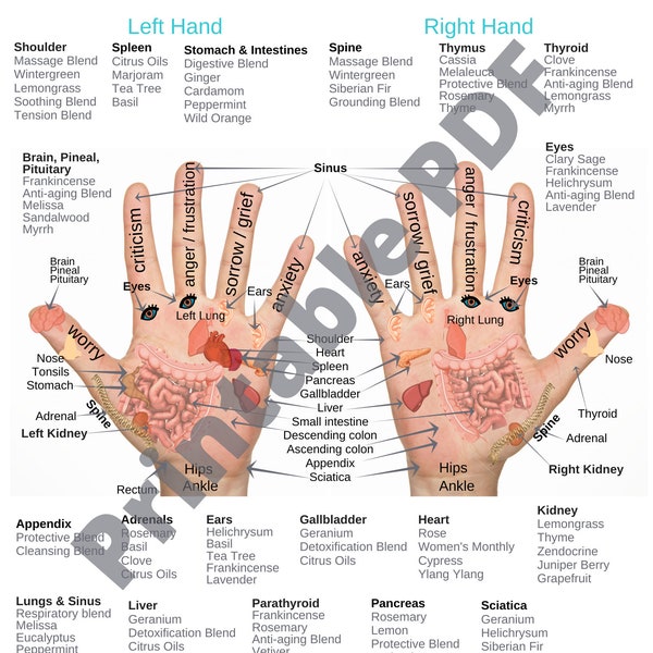 Hand-Reflexzonen-Diagramm PDF Printable