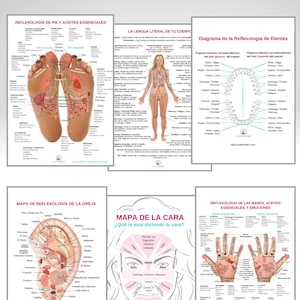 May include: Five colorful charts with diagrams of the human body, showing reflexology points for the feet, hands, ears, face, and teeth. The charts are in Spanish and include the text "Reflexología de Pie y Aceites Esenciales", "La Lengua Literal de Tu Cuerpo", "Mapa de Reflexología de la Oreja", "Mapa de la Cara", and "Diagrama de la Reflexología de Dientes".