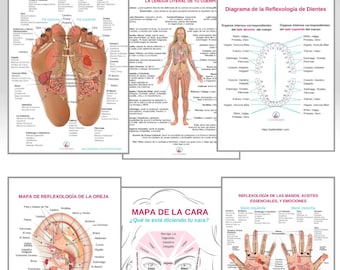 Auf Spanisch 6 Bestseller Charts PDF Printable DEAL (en Español)