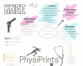 Kniekissen für Physiotherapie