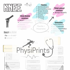May include: A diagram illustrating the anatomy of the knee joint, including the muscles and movements involved in flexion, extension, and rotation. The diagram also includes information on common knee injuries, such as meniscal tears, MCL and LCL injuries, and patellofemoral pain.