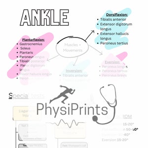 Könnte beinhalten: Eine Illustration des Knöchels mit einem Diagramm der Muskeln und Bewegungen, die an der Dorsalextension, Plantarflexion, Inversion und Eversion beteiligt sind. Das Bild enthält auch einen Abschnitt über spezielle Tests für Knöchelverletzungen, darunter den Talus-Kipptest, den Eversion-Stresstest und den Thompson-Waden-Drucktest.
