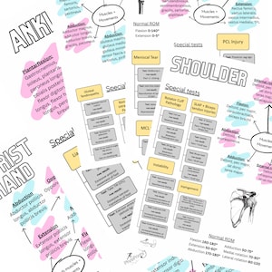 MSK physio student bundle